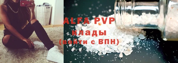 прущий лед Богданович