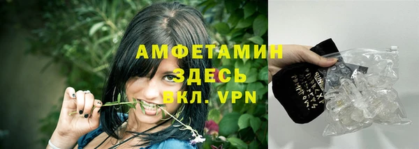 прущий лед Богданович