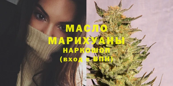прущий лед Богданович