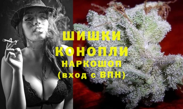 прущий лед Богданович