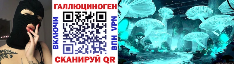 Галлюциногенные грибы Cubensis  Купить закладки  Венёв 